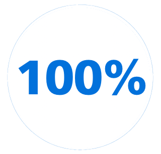 100 %-ikon
