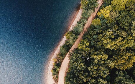 En banner med en flygbild av trädtoppar och havet för att presentera Philips hållbarhetsplaner
