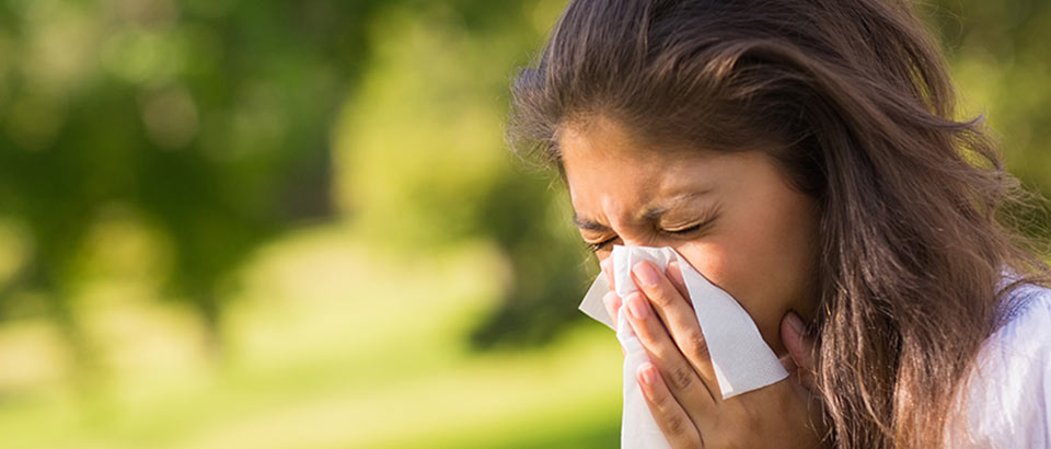 Allergener hemma – pollentyper och när de uppstår