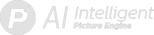 Picture Engine-logotyp